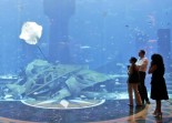 Atlantis - The Palm - Aquarium